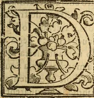 An illustration from La verdadera hystoria del rey Don Rodrigo : en la qual se trata la causa principal dela perdida de España y la co[n]quista que della hizo Miramamolin Almáçor Rey que fue del Africa, y de las Arabias : Co[n]puesta por el sabio Alcayde Abulcacim Tarif Abentariq, de nacion Arbe, y natural de la Arabia Petrea (1592)