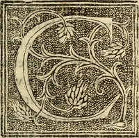An illustration from La verdadera hystoria del rey Don Rodrigo : en la qual se trata la causa principal dela perdida de España y la co[n]quista que della hizo Miramamolin Almáçor Rey que fue del Africa, y de las Arabias : Co[n]puesta por el sabio Alcayde Abulcacim Tarif Abentariq, de nacion Arbe, y natural de la Arabia Petrea (1592)