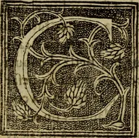 An illustration from La verdadera hystoria del rey Don Rodrigo : en la qual se trata la causa principal dela perdida de España y la co[n]quista que della hizo Miramamolin Almáçor Rey que fue del Africa, y de las Arabias : Co[n]puesta por el sabio Alcayde Abulcacim Tarif Abentariq, de nacion Arbe, y natural de la Arabia Petrea (1592)