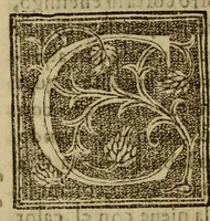 An illustration from La verdadera hystoria del rey Don Rodrigo : en la qual se trata la causa principal dela perdida de España y la co[n]quista que della hizo Miramamolin Almáçor Rey que fue del Africa, y de las Arabias : Co[n]puesta por el sabio Alcayde Abulcacim Tarif Abentariq, de nacion Arbe, y natural de la Arabia Petrea (1592)