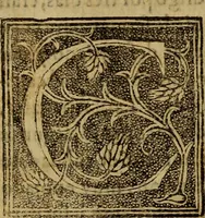 An illustration from La verdadera hystoria del rey Don Rodrigo : en la qual se trata la causa principal dela perdida de España y la co[n]quista que della hizo Miramamolin Almáçor Rey que fue del Africa, y de las Arabias : Co[n]puesta por el sabio Alcayde Abulcacim Tarif Abentariq, de nacion Arbe, y natural de la Arabia Petrea (1592)