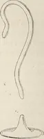 An illustration from La verrerie depuis les temps les plus reculés jusqu'à nos jours (1869)