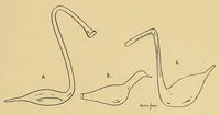 Picture 11 of 18 from La verrerie en Gaule sous l'Empire romain; essai de morphologie et de chronologie (1913), leaf 193
