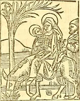 Picture 7 of 26 from La vida y excelencias & miraglos dla sacratissima virgen Maria nuestra señora (1525), leaf 19