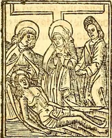 Picture 21 of 26 from La vida y excelencias & miraglos dla sacratissima virgen Maria nuestra señora (1525), leaf 73