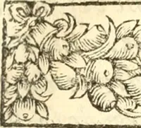 An illustration from La vie de Dom Barthelemy des Martyrs, religieux de l'Ordre des Dominique : Tirée de son histoire êcrits en Espagnol & en Portugais par cinq autheurs (1679)