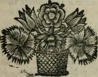 An illustration from La vie de Madame la duchesse de Montmorency, supérieure de la Visitation de Ste-Marie de Moulins (1684)