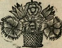 An illustration from La vie de Madame la duchesse de Montmorency, supérieure de la Visitation de Ste-Marie de Moulins (1684)