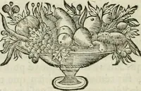 Picture 8 of 15 from La vie de S. Athanase, patriarche d'Alexandrie : divisée en douze livres : qui comprend encore l'histoire de S. Eustathe d'Antioche, de S. Paul de Constantinople, de S. Hilaire de Poitiers, de S. Eusebe de Verceil, des Papes Jules & Libere, & de plusieurs autres Saints; avec la naissance & le progrès de l'Arianisme (1671), leaf 221