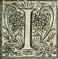 An illustration from La vie de S. Athanase, patriarche d'Alexandrie : divisée en douze livres : qui comprend encore l'histoire de S. Eustathe d'Antioche, de S. Paul de Constantinople, de S. Hilaire de Poitiers, de S. Eusebe de Verceil, des Papes Jules & Libere, & de plusieurs autres Saints; avec la naissance & le progrès de l'Arianisme (1671)