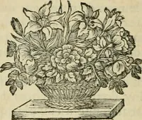 Picture 10 of 15 from La vie de S. Athanase, patriarche d'Alexandrie : divisée en douze livres : qui comprend encore l'histoire de S. Eustathe d'Antioche, de S. Paul de Constantinople, de S. Hilaire de Poitiers, de S. Eusebe de Verceil, des Papes Jules & Libere, & de plusieurs autres Saints; avec la naissance & le progrès de l'Arianisme (1671), leaf 307