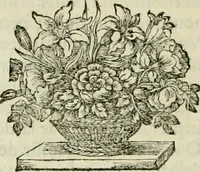 An illustration from La vie de S. Athanase, patriarche d'Alexandrie : divisée en douze livres : qui comprend encore l'histoire de S. Eustathe d'Antioche, de S. Paul de Constantinople, de S. Hilaire de Poitiers, de S. Eusebe de Verceil, des Papes Jules & Libere, & de plusieurs autres Saints; avec la naissance & le progrès de l'Arianisme (1671)