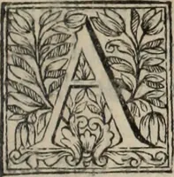 An illustration from La vie de S. Athanase, patriarche d'Alexandrie : divisée en douze livres : qui comprend encore l'histoire de S. Eustathe d'Antioche, de S. Paul de Constantinople, de S. Hilaire de Poitiers, de S. Eusebe de Verceil, des Papes Jules & Libere, & de plusieurs autres Saints; avec la naissance & le progrès de l'Arianisme (1671)