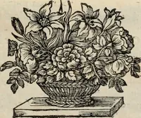 An illustration from La vie de S. Athanase, patriarche d'Alexandrie : divisée en douze livres : qui comprend encore l'histoire de S. Eustathe d'Antioche, de S. Paul de Constantinople, de S. Hilaire de Poitiers, de S. Eusebe de Verceil, des Papes Jules & Libere, & de plusieurs autres Saints; avec la naissance & le progrès de l'Arianisme (1671)
