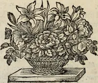 An illustration from La vie de S. Athanase, patriarche d'Alexandrie : divisée en douze livres : qui comprend encore l'histoire de S. Eustathe d'Antioche, de S. Paul de Constantinople, de S. Hilaire de Poitiers, de S. Eusebe de Verceil, des Papes Jules & Libere, & de plusieurs autres Saints; avec la naissance & le progrès de l'Arianisme (1671)