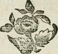 An illustration from La vie des peintres flamands, allemands et hollandois : avec des portraits gravés en taille-douche, une indication de leurs principaux ouvrages, & des réflexions sur leurs différentes manieres (1753)