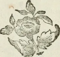 An illustration from La vie des peintres flamands, allemands et hollandois : avec des portraits gravés en taille-douche, une indication de leurs principaux ouvrages, & des réflexions sur leurs différentes manieres (1753)