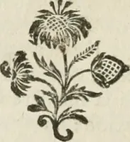 An illustration from La vie des peintres flamands, allemands et hollandois : avec des portraits gravés en taille-douche, une indication de leurs principaux ouvrages, & des réflexions sur leurs différentes manieres (1753)
