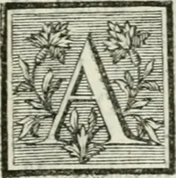 An illustration from La vie des peintres flamands, allemands et hollandois : avec des portraits gravés en taille-douche, une indication de leurs principaux ouvrages, & des réflexions sur leurs différentes manieres (1753)