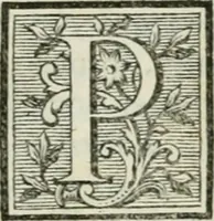 An illustration from La vie des peintres flamands, allemands et hollandois : avec des portraits gravés en taille-douche, une indication de leurs principaux ouvrages, & des réflexions sur leurs différentes manieres (1753)