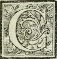 An illustration from La vie des peintres flamands, allemands et hollandois : avec des portraits gravés en taille-douche, une indication de leurs principaux ouvrages, & des réflexions sur leurs différentes manieres (1753)