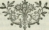 An illustration from La vie des peintres flamands, allemands et hollandois : avec des portraits gravés en taille-douche, une indication de leurs principaux ouvrages, & des réflexions sur leurs différentes manieres (1753)