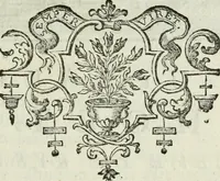 Picture 65 of 99 from La vie des peintres flamands, allemands et hollandois : avec des portraits gravés en taille-douche, une indication de leurs principaux ouvrages, & des réflexions sur leurs différentes manieres (1753), leaf 250