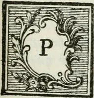Picture 89 of 99 from La vie des peintres flamands, allemands et hollandois : avec des portraits gravés en taille-douche, une indication de leurs principaux ouvrages, & des réflexions sur leurs différentes manieres (1753), leaf 336
