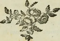An illustration from La vie des peintres flamands, allemands et hollandois : avec des portraits gravés en taille-douche, une indication de leurs principaux ouvrages, & des réflexions sur leurs différentes manieres (1753)