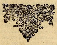 An illustration from La vie et les actions memorables du Sr. Michel de Ruyter, duc, chevalier, & lieutenant amiral general des Provinces Unies (1678)