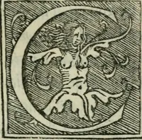 An illustration from La villa : dialogo (1559)