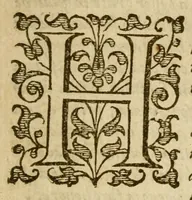 An illustration from La vita di Carlo Magno imperadore: (1599)