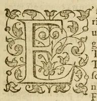 An illustration from La vita di Carlo Magno imperadore: (1599)