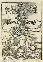 An illustration from La vita di san Zanobi cittadino et vescouo fiorentino (1559)