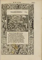 An illustration from La vita et Metamorfoseo d'Ovidio (1559)