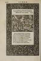 An illustration from La vita et Metamorfoseo d'Ovidio (1559)