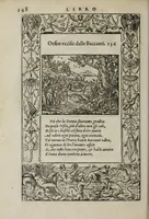 An illustration from La vita et Metamorfoseo d'Ovidio (1559)