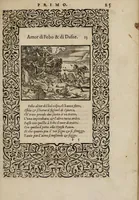 An illustration from La vita et Metamorfoseo d'Ovidio (1559)