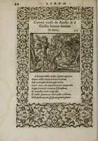 An illustration from La vita et Metamorfoseo d'Ovidio (1559)