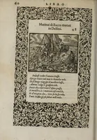 An illustration from La vita et Metamorfoseo d'Ovidio (1559)