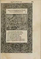 An illustration from La vita et Metamorfoseo d'Ovidio (1559)