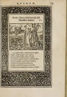 An illustration from La vita et Metamorfoseo d'Ovidio (1559)