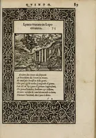 An illustration from La vita et Metamorfoseo d'Ovidio (1559)