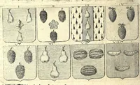 Picture 59 of 105 from La vraye et parfaite science des armoiries, ou, L'Indice armorial de feu maistre Louuan Geliot ... : apprenant et expliquant sommairement les mots & figures dont on se sert au blason des armoiries, & l'origine d'icelles : augmenté de nombre de termes & enrichy de grande multitude d'exemples des armes des familles tant françoise qu'estrangeres, des institutions, des ordres & de leurs colliers, des marques des dignités & charges, des ornemens des escus, de l'office des roys, des herauds, & des poursuiuans d'armes, & autres curiosités despendantes des armoiries ... (1664), leaf 392