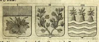 Picture 80 of 105 from La vraye et parfaite science des armoiries, ou, L'Indice armorial de feu maistre Louuan Geliot ... : apprenant et expliquant sommairement les mots & figures dont on se sert au blason des armoiries, & l'origine d'icelles : augmenté de nombre de termes & enrichy de grande multitude d'exemples des armes des familles tant françoise qu'estrangeres, des institutions, des ordres & de leurs colliers, des marques des dignités & charges, des ornemens des escus, de l'office des roys, des herauds, & des poursuiuans d'armes, & autres curiosités despendantes des armoiries ... (1664), leaf 587