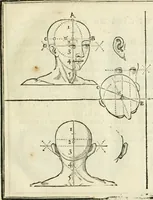 An illustration from La vraye science de la pourtraicture (1671)