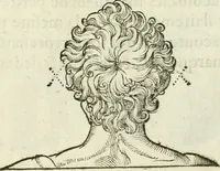 Picture 5 of 43 from La vraye science de la pourtraicture (1671), leaf 14