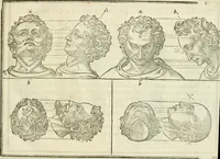 An illustration from La vraye science de la pourtraicture (1671)