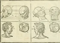 An illustration from La vraye science de la pourtraicture (1671)