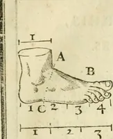 An illustration from La vraye science de la pourtraicture (1671)
